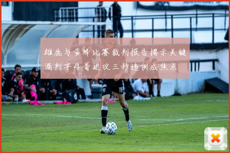 雄鹿与黄蜂比赛裁判报告揭示关键漏判字母哥进攻三秒违例成焦点
