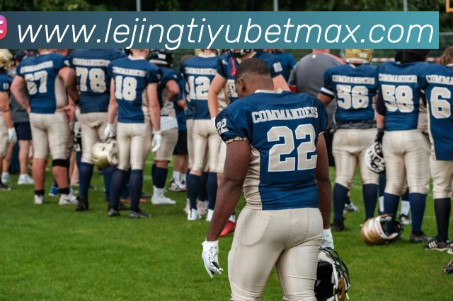 乐竟体育平台生态图