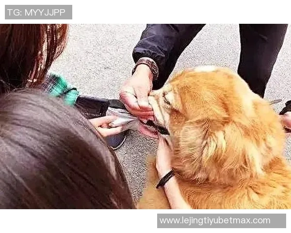 伊森妈妈调侃卡鲁索防守表现真是让人哭笑不得的精彩瞬间